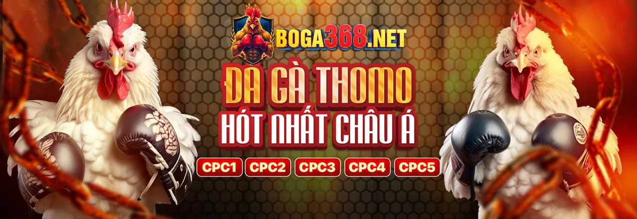 Chương trình khuyến mãi hấp dẫn tại Typhu88